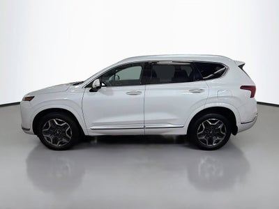 2021 Hyundai Santa Fe Calligraphy
