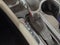 2020 Buick Envision Preferred