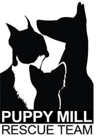 VanDevere Auto Outlet in Akron OH